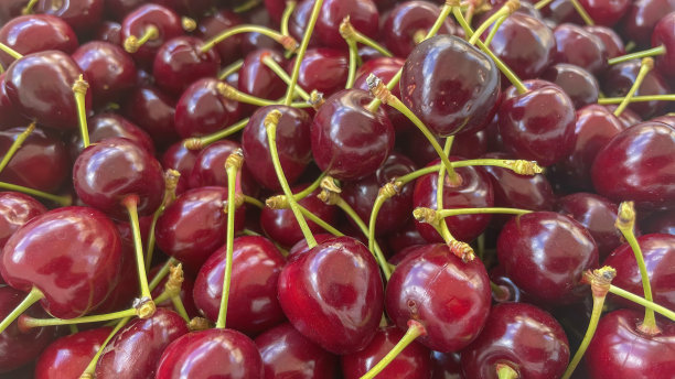 樱桃是夏天最美味的水果之一。图片下载