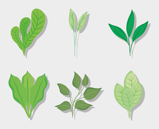 绿色植物图标集图片下载