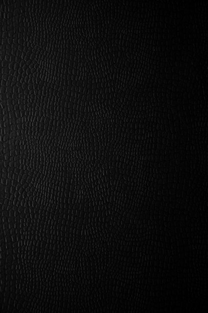 动物皮革背景，特写皮肤纹理图片下载