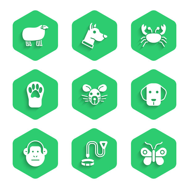 把老鼠头项圈与蝴蝶狗的名牌图片下载