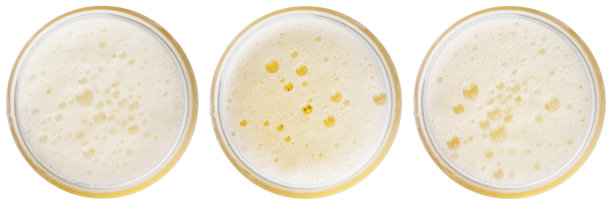 淡啤酒里的啤酒气泡图片下载