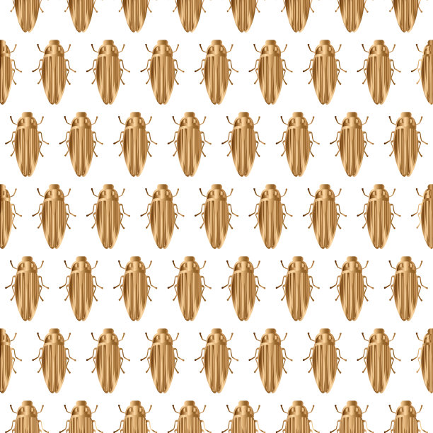 昆虫无缝模式图片下载