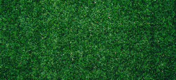 深绿色热带树叶组背景全景背景概念的自然图片下载