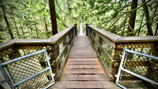 林恩峡谷公园的林恩峡谷吊桥。图片下载