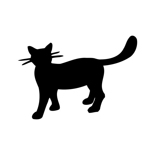 黑猫的轮廓孤立在白色上图片下载