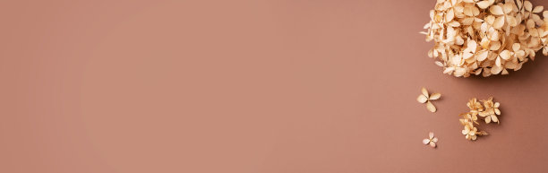 干燥的天然草，树叶和花朵的美丽和时尚的概念模拟素材图片