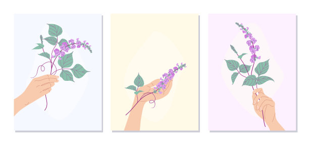 女性双手捧着扁桃花海报套装图片下载