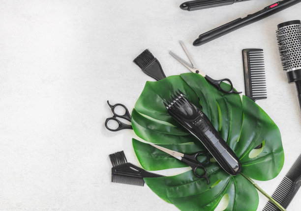 灰色的水泥地上放着剪刀、吹风机、直发器、梳子、刷子和一个带有怪兽树叶的理发器图片下载