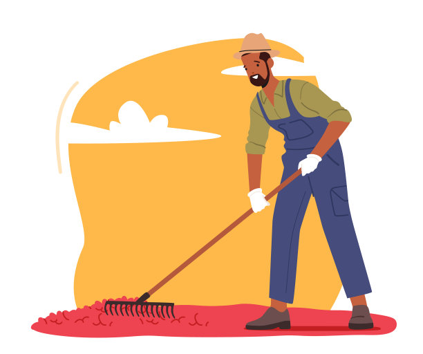 咖啡农在种植园里耙熟咖啡豆图片下载