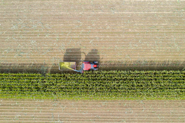 用收割机收割玉米，鸟瞰图图片下载