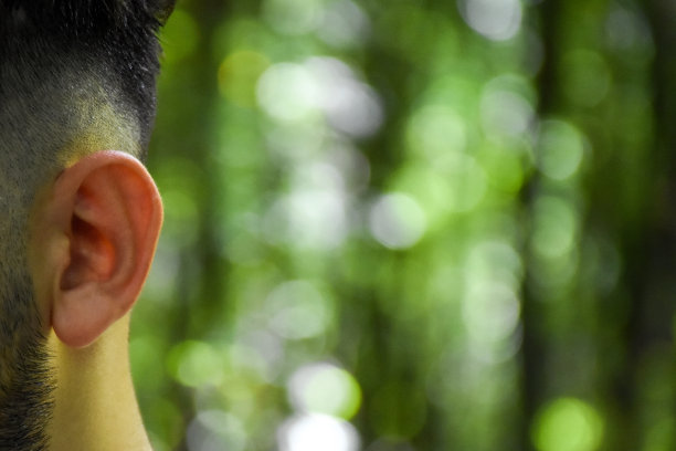 人的耳朵与绿色的自然背景图片下载