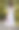 一个女孩手里拿着一束美丽的鲜花图片下载