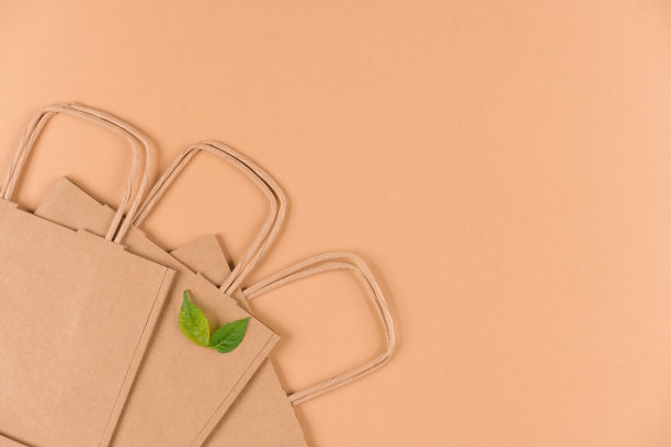 牛皮纸购物袋与浅棕色的背景与拷贝空间。绿叶作为可持续包装的象征。街头小吃纸袋带走。平躺图片下载