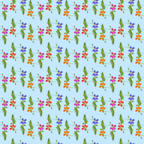 天竺葵,天竺葵属植物。插图，花的纹理。连续复制的无缝模式。花卉背景，照片拼贴纺织品，棉织物。用于墙纸、封面、印刷品图片下载