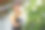 愉快的女园丁在温室检查花的生长图片下载