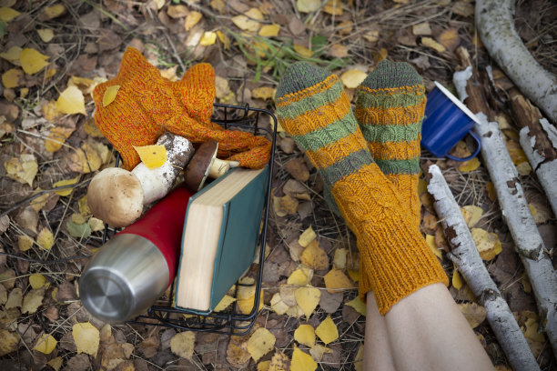 美丽的秋天静物图片下载