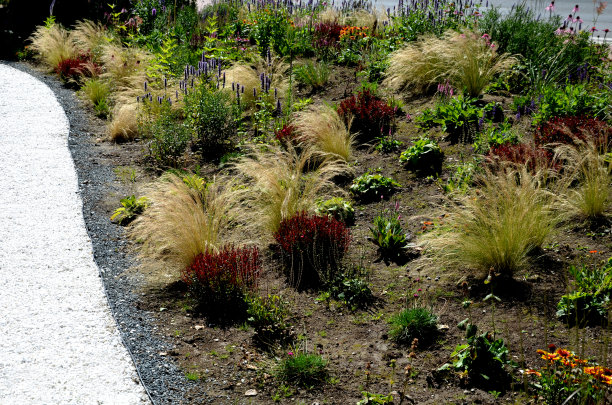 新种植的花被种植在床上，并用树皮覆盖。蓝铃草和柏树，铺满大理石灰尘的小路蜿蜒穿过公园。支撑花岗岩石笼篮的墙、花、边图片下载