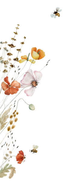 野花水彩插图图片下载