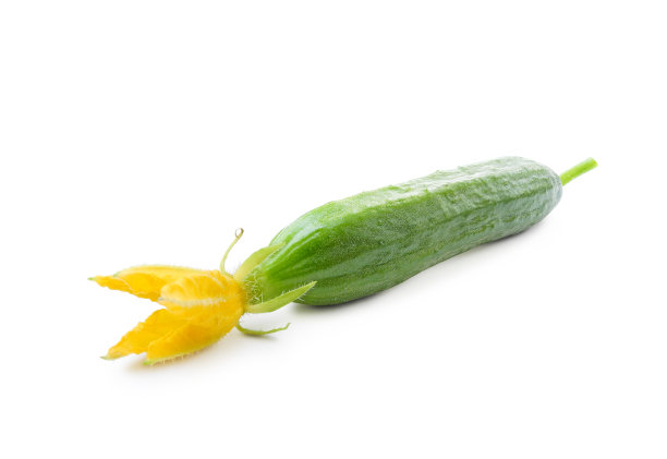 带花的新鲜黄瓜，白色图片下载