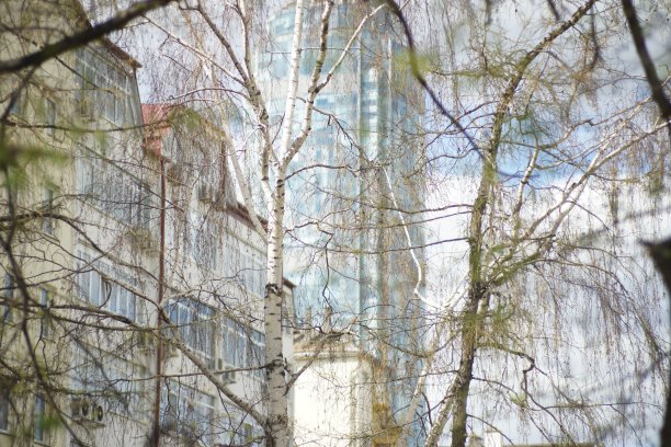 部分建筑立面和植物纹理与树枝。图片下载