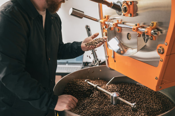 企业主检查小工厂烘焙咖啡豆的质量。特写镜头图片下载