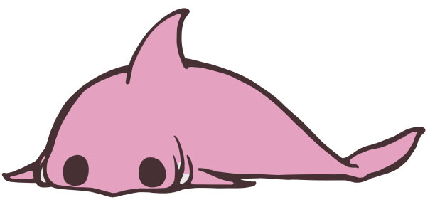 鲨鱼躺下来，平静下来图片下载