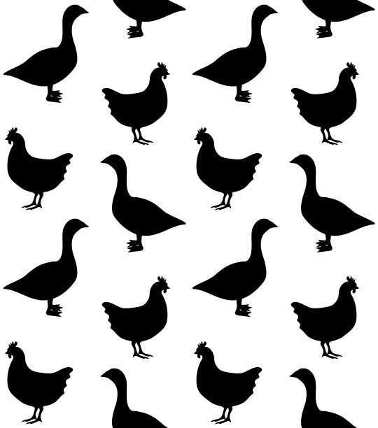 矢量无缝图案的彩色手绘平鸡和鹅剪影图片下载