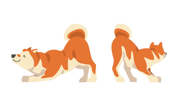 柴犬是一种具有刺耳卷曲尾巴拉伸向量集的日本猎犬图片下载