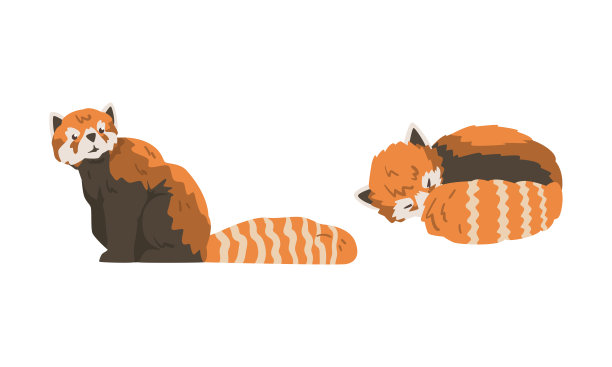 小熊猫，小哺乳动物与密集的红棕色皮毛和环形尾巴拥抱和坐向量集图片下载