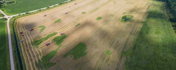 联合收割机在田野上收获的鸟瞰图。收割小麦。在田间工作的收割机。图片下载