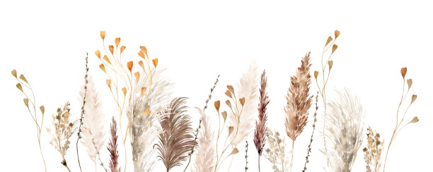 潘帕斯草原波西米亚插图图片下载