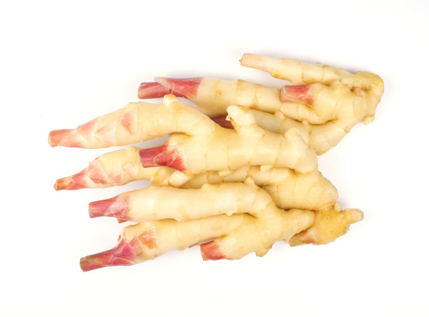 新鲜的姜根在白色背景上分离图片下载