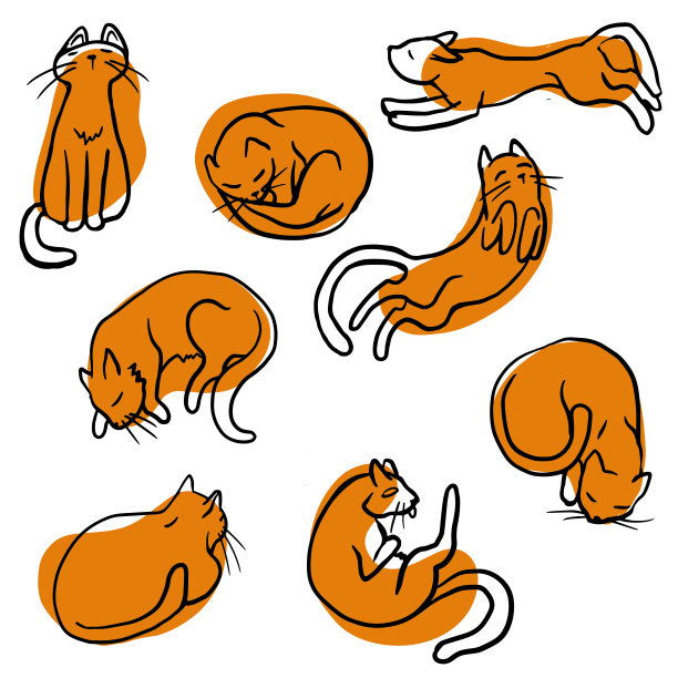 猫向量组图片下载