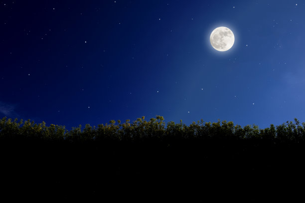 一轮满月从绿色的大树篱上升起，还有许多星星图片下载