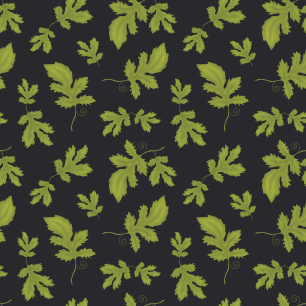 花的背景。无缝图案的葡萄叶子。葡萄叶子。树叶的图案。图片下载
