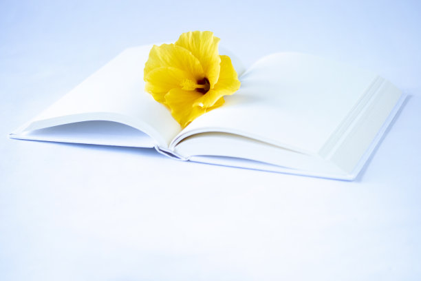 黄澄澄的芙蓉翻开书图片下载