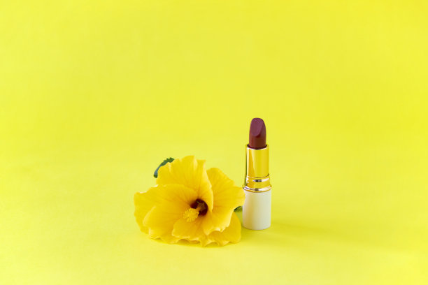 黄芙蓉图片下载