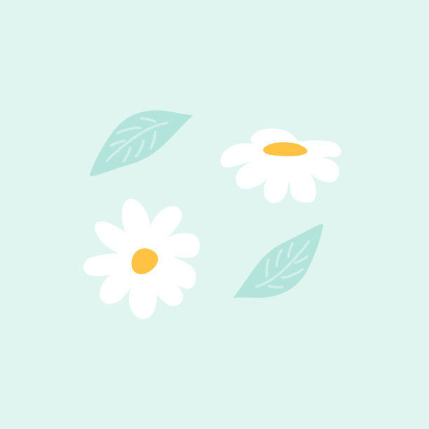 雏菊花矢量插图。手工绘制的花和叶图片下载