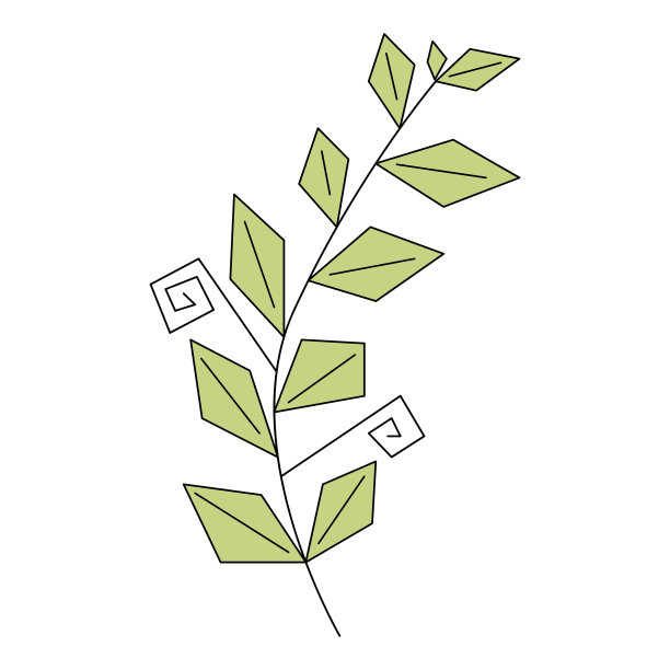 精致的风格化的树枝与叶子图片下载