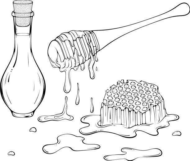 静物与蜂窝和木勺线图片下载