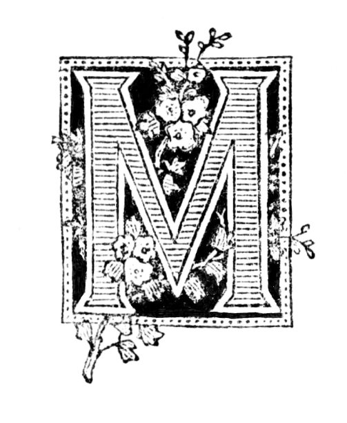 字母M，自然花卉主题图片下载