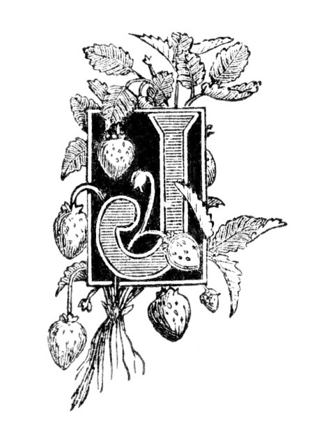 字母J，自然水果主题图片下载