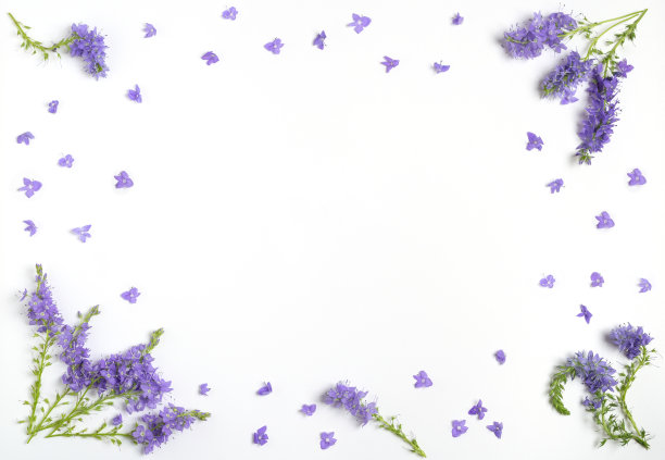 野花插花。图片下载