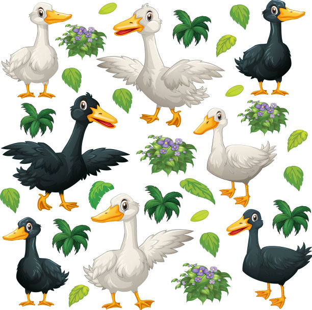 可爱的动物卡通设定在白色背景图片下载