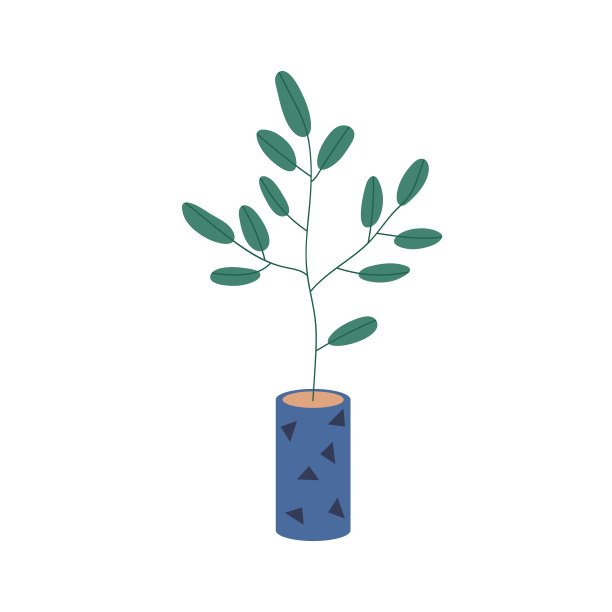 盆栽室内植物绿叶室内植物图片下载