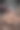 被诅咒的狼图片下载