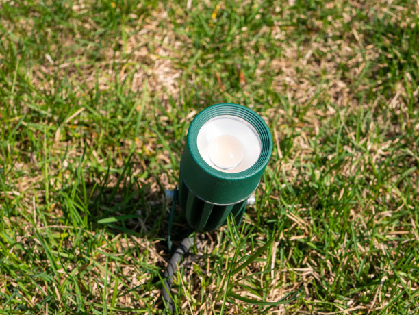 绿色草坪上路灯的正面视图。特写镜头图片下载