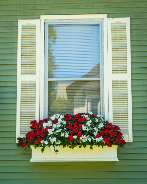 窗台上摆满了红白相间的凤仙花图片下载