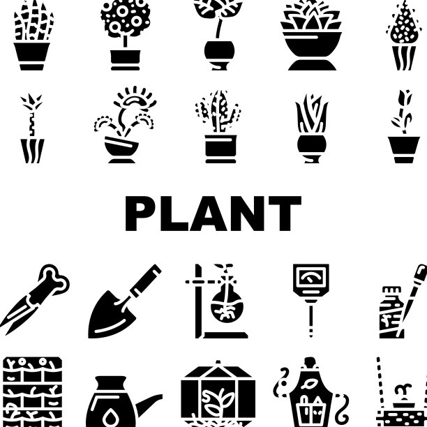 盆栽植物和护理配件图标集图片下载