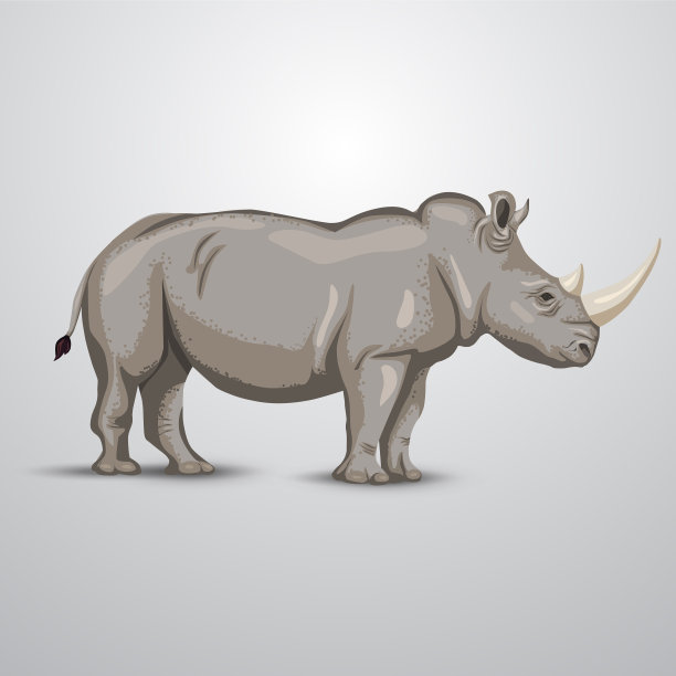 全尺寸犀牛图纸设计图片下载